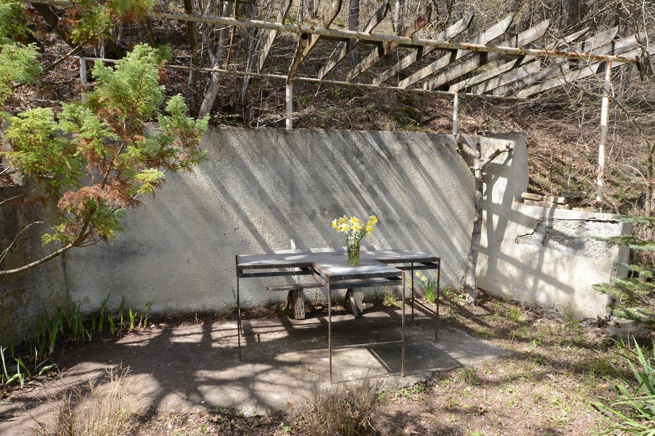 Guest House Likani 2017 Bordschomi Exterior foto