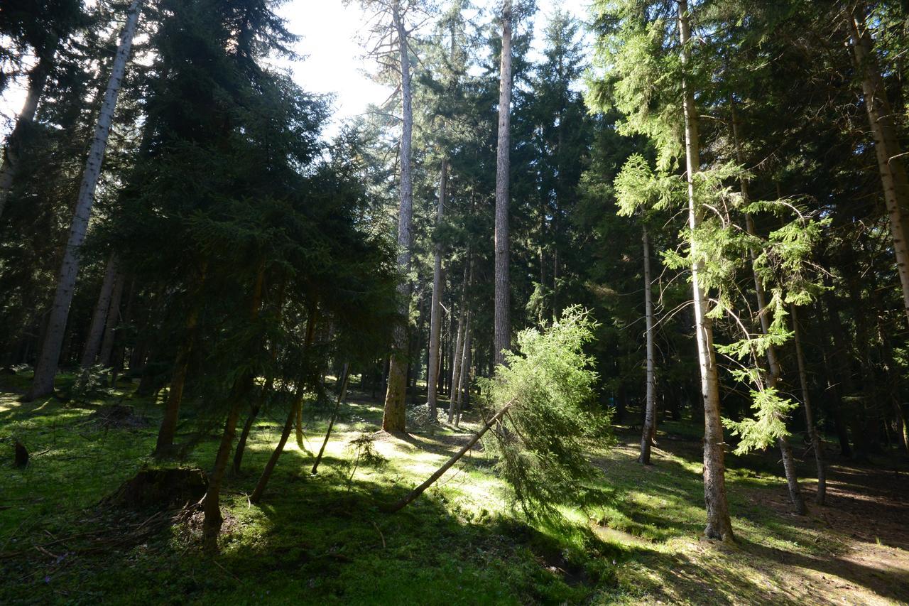 Guest House Likani 2017 Bordschomi Exterior foto